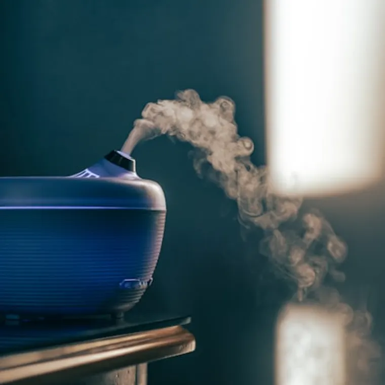 Diffuser releasing a soft plume of mist