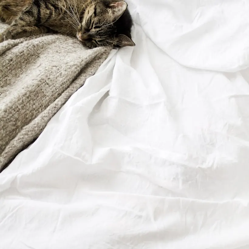 Folded neutral weighted blanket in brushed cotton